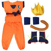 Fantasia DB SG – Cosplay Completo com Peruca